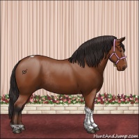 Horse Color:Bay Tobiano Rabicano 