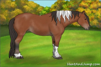 Horse Color:Bay Tobiano Rabicano 