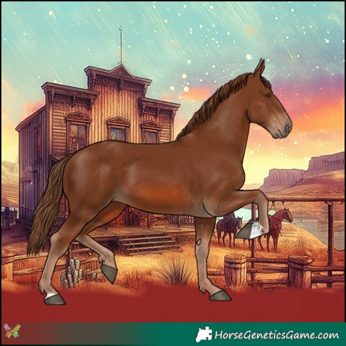 Horse Color:Chestnut 