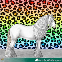 Horse Color:Gold Champagne Roan Dun Splash Tobiano Frame Appaloosa Rabicano