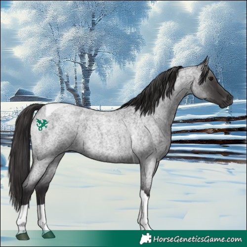 Horse Color:Smoky Blue Roan Tobiano 