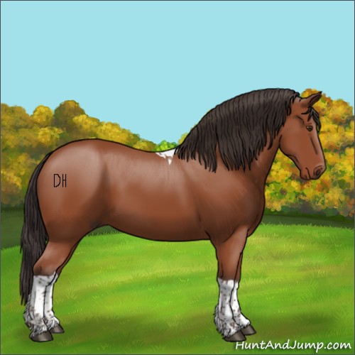 Horse Color:Bay Tobiano Rabicano 