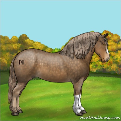 Horse Color:Chocolate Palomino Roan