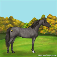 Horse Color:Smoky Blue Roan 