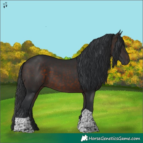 Horse Color:Brown Tobiano Rabicano 