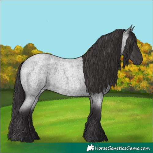 Horse Color:Smoky Blue Roan 