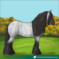 Horse Color:Smoky Blue Roan 