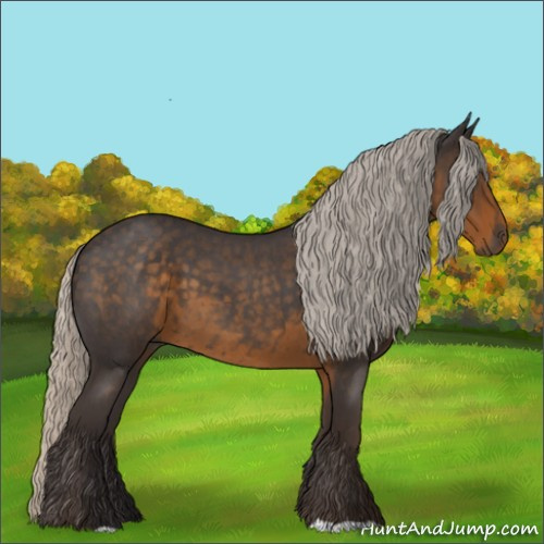 Horse Color:Silver Smoky Blue Roan 