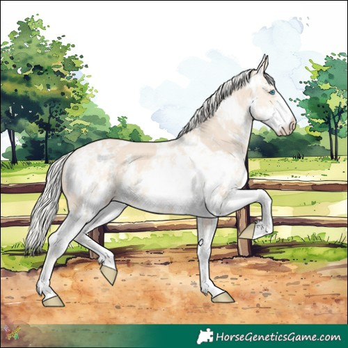 Horse Color:Cremello Sabino and Cremello Sabino