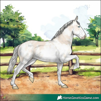 Horse Color:Cremello Sabino  and Cremello Sabino 