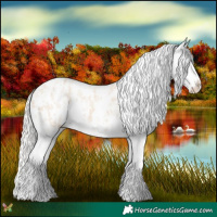 Horse Color:Cremello Sabino Blanket and Cremello Sabino Splash Blanket