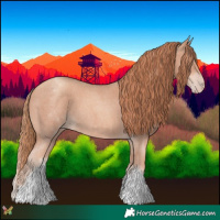 Horse Color:White Spotted Gold Champagne Sabino