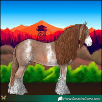 Horse Color:White Spotted Chestnut Sabino