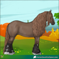Horse Color:Liver Red Dun Rabicano 
