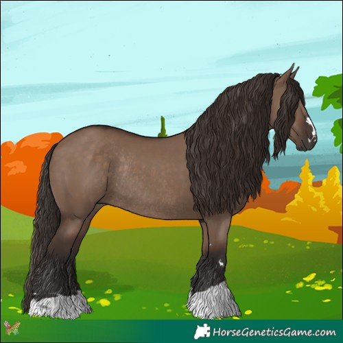 Horse Color:Liver Red Dun Rabicano 