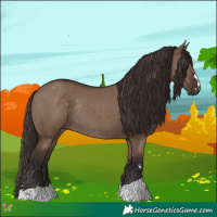Horse Color:Liver Red Dun Rabicano 