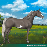 Horse Color:White Spotted Silver Black Frame