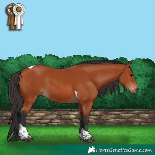 Horse Color:Bay Tobiano Rabicano 