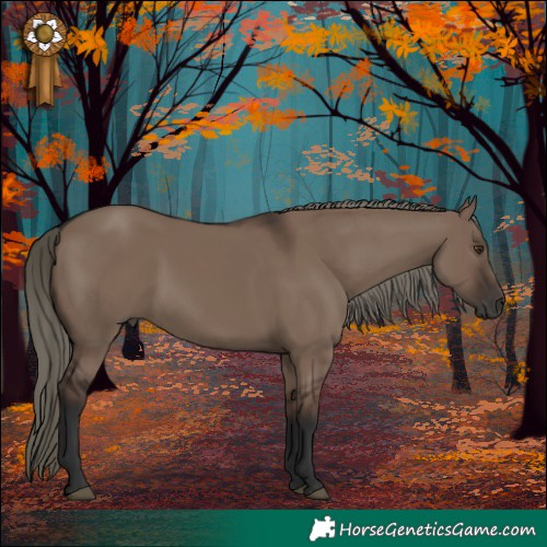 Horse Color:Liver Red Dun Mushroom Rabicano