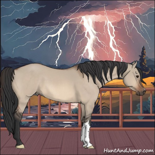 Horse Color:Bay Dun Mushroom