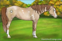 Horse Color:White Spotted Smoky Black Pearl Sabino Splash Varnish Rabicano 