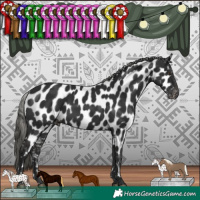 Horse Color:Liver Chestnut Mushroom Appaloosa 