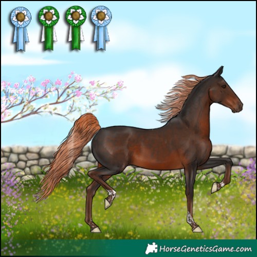 Horse Color:Liver Chestnut Tobiano 
