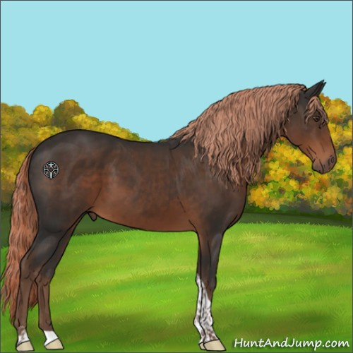 Horse Color:Liver Chestnut Tobiano 