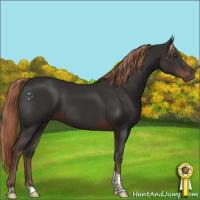 Horse Color:Liver Chestnut Tobiano
