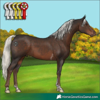 Horse Color:Liver Chestnut Mushroom Tobiano