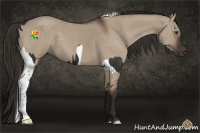 Horse Color:Liver Chestnut Tobiano  and Liver Red Dun 