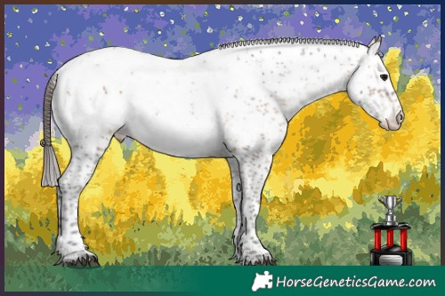 Horse Color:Brown Sabino Appaloosa 