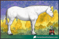 Horse Color:Brown Sabino Blanket