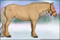 Horse Color:Palomino Roan 