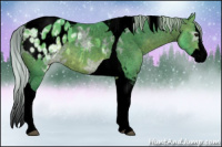 Horse Color:Void Watercolor Silver Brown Ice Splash Tobiano Appaloosa 