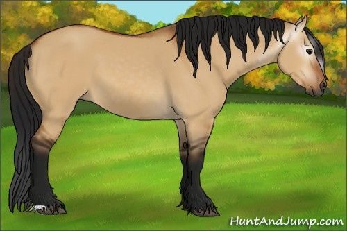 Horse Color:Gray Bay Dun 