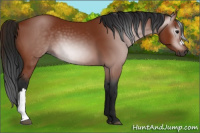 Horse Color:Gray Bay