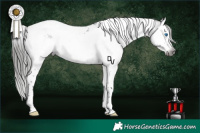 Horse Color:Gray Black Splash Tobiano Appaloosa 