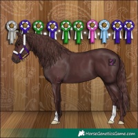 Horse Color:Chocolate Black