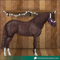 Horse Color:Chocolate Black