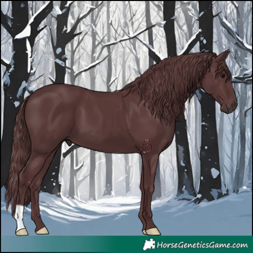 Horse Color:Chocolate Black 