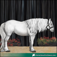 Horse Color:Gray Silver Brown Dun Tobiano Varnish Rabicano 