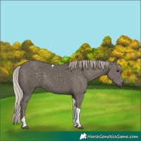 Horse Color:Silver Black Tobiano 