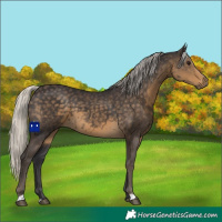 Horse Color:Silver Smoky Black 