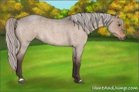 Horse Color:Silver Brown Roan Dun Mushroom 