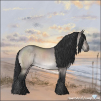 Horse Color:Platinum Bay Roan Dun 