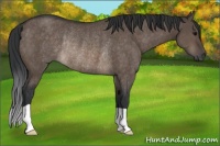 Horse Color:Brown Dun Rabicano 