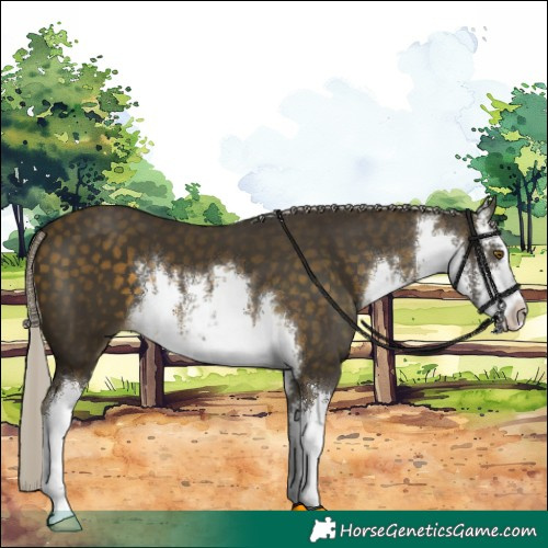 Horse Color:White Spotted Silver Buckskin 