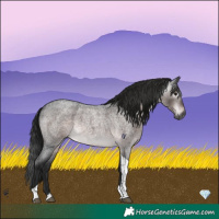 Horse Color:Gray Platinum Brown Roan Tobiano Rabicano 
