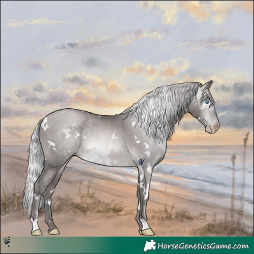 Horse Color:Gray Platinum White Spotted Silver Buckskin Pearl 